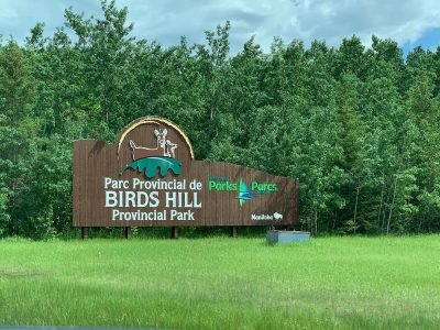 Randonnée Bilingue – Parc provincial Birds Hill